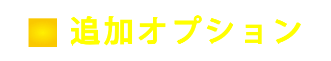 追加オプション