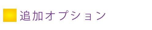 追加オプション